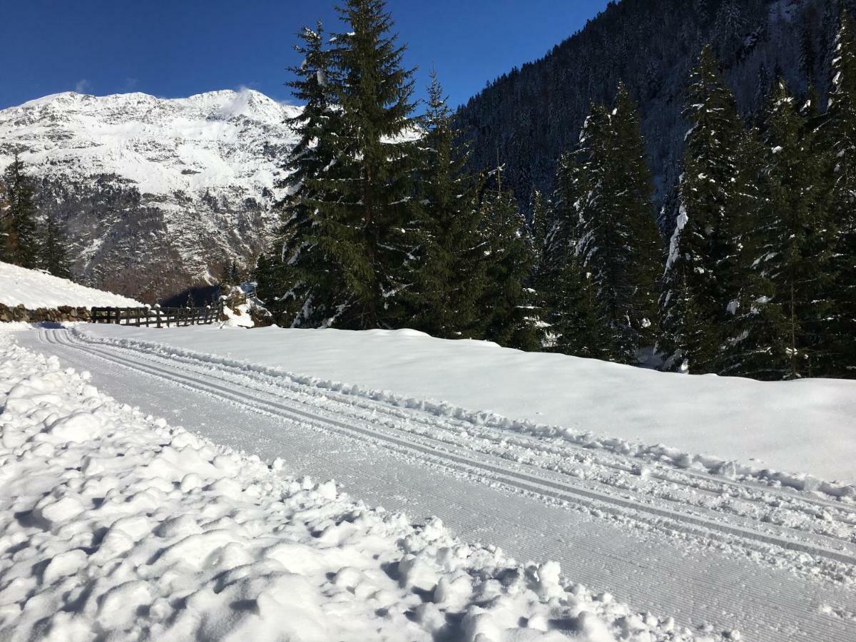 Alpenspirit *